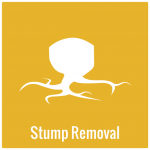 Stump removal